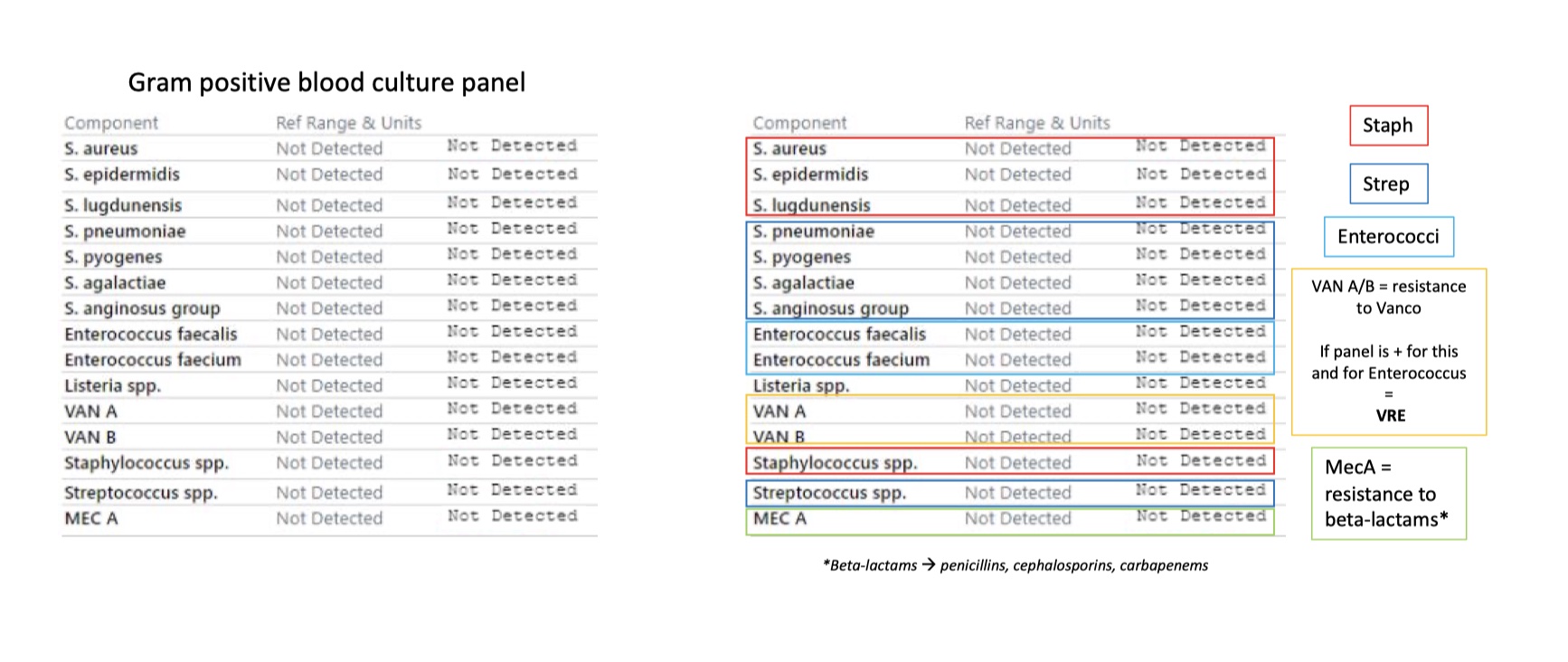 panel-1