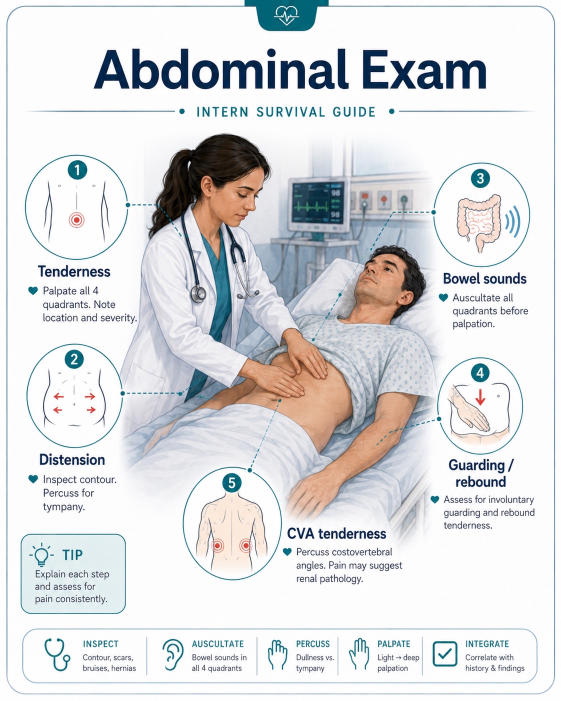 Abdominal exam — tenderness, distension, bowel sounds, guarding/rebound, and CVA tenderness